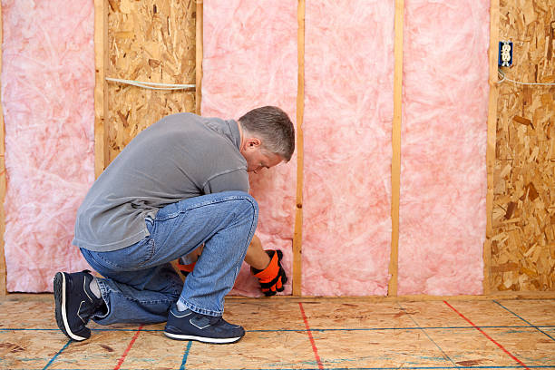 Types of Insulation We Offer in CA